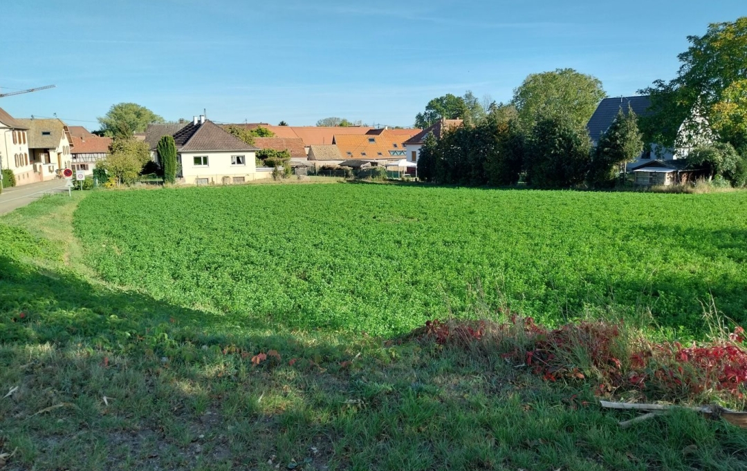 Annonces GEISPOLSHEIM : Terrain | HANDSCHUHEIM (67117) | 0 m2 | 244 520 € 